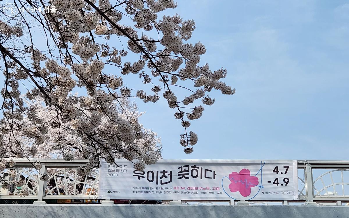 시민들과 함께하는 '천변라이프강북페스타2023 우이천 꽂히다' ©김미선