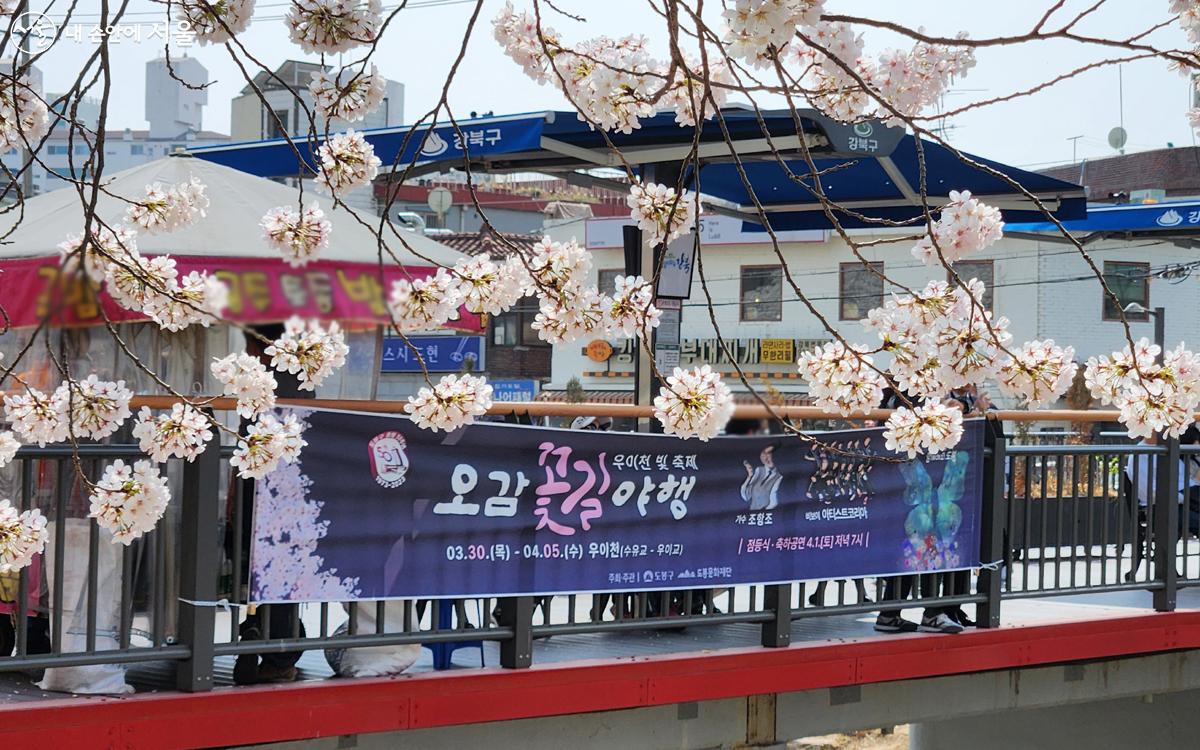 오감 꽃길 야행, 우이천 빛 축제 ©김미선