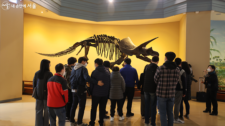 올해부터 ‘특수학교 학생 박물관·미술관 관람 지원사업’을 본격적으로 추진한다.