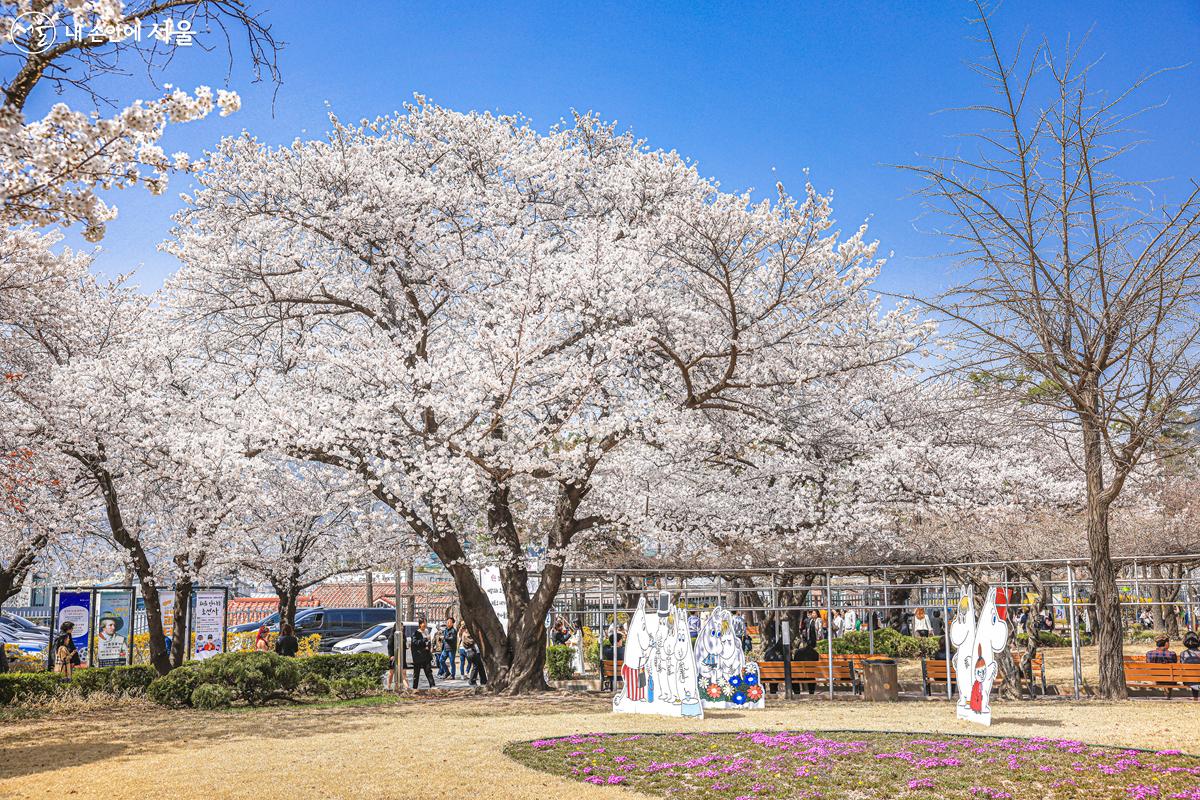 큰 벚꽃나무를 배경으로 귀여운 캐릭터 조형물들이 포토존을 이루고 있다. ©박우영