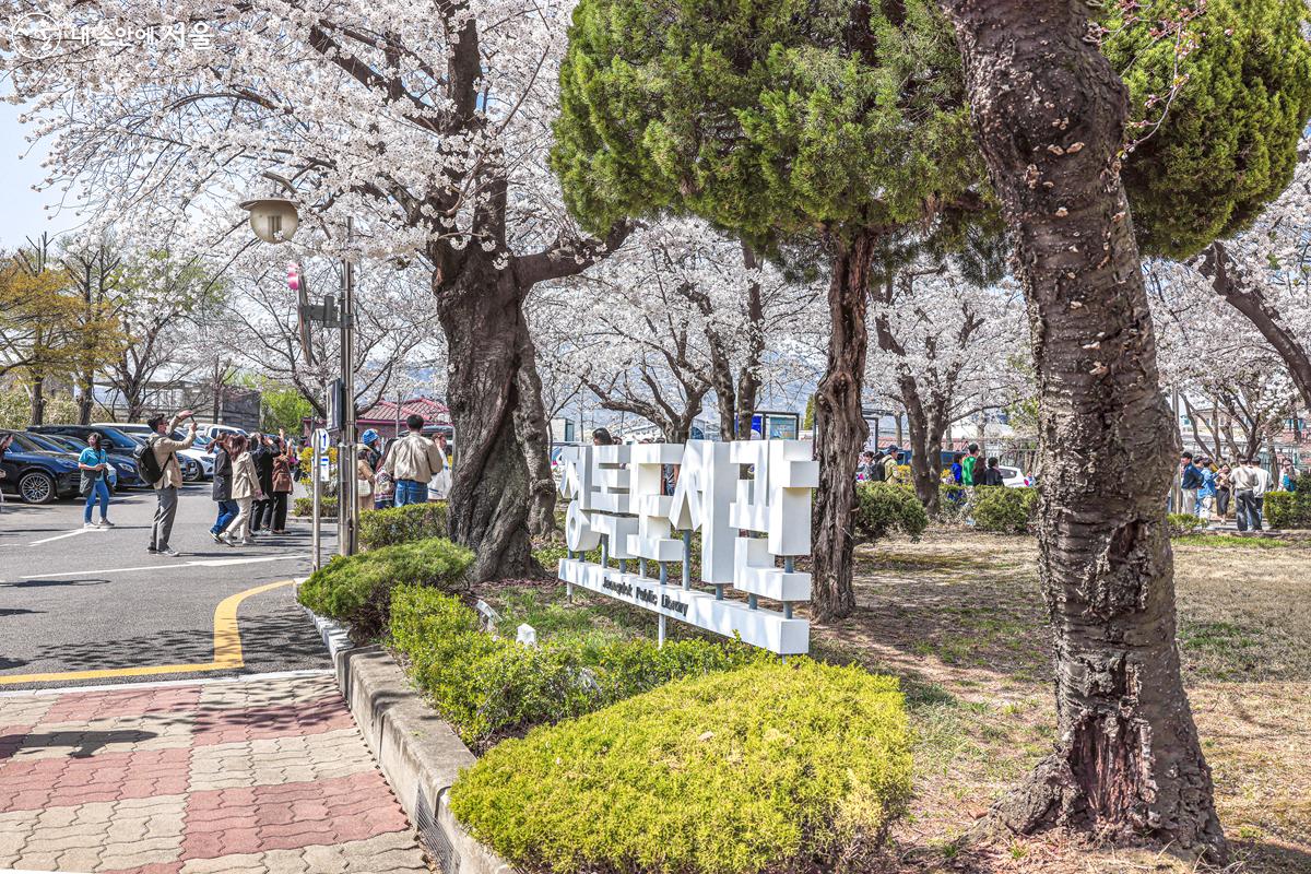 따뜻한 봄날을 즐기기 위해 정독도서관을 찾은 시민들의 모습 ©박우영