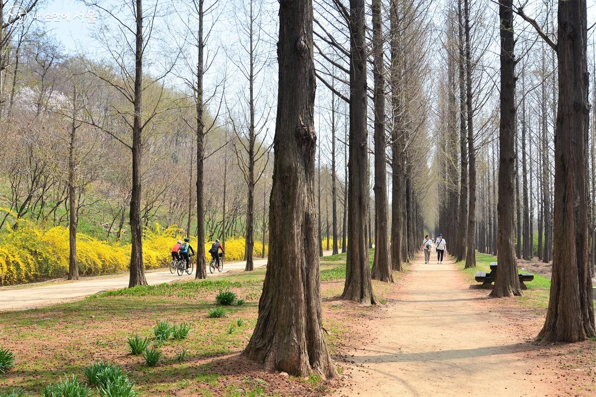 자전거 하이킹과 산책을 즐기며 여유롭게 봄을 만끽하는 시민들 ©이봉덕