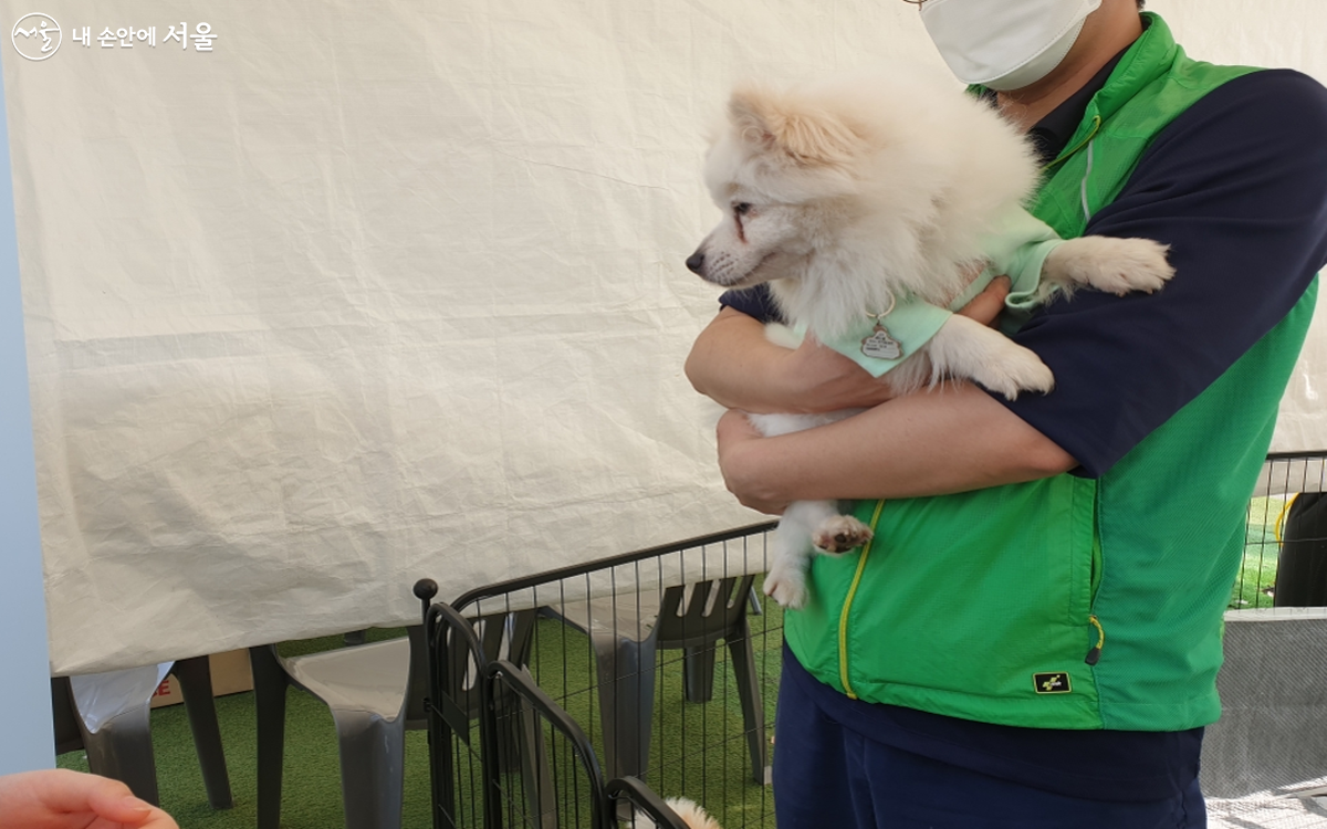 개를 안전하고 편안하게 안는 방법을 설명하는 서울동물복지지원센터 자원봉사자 ©최윤정
