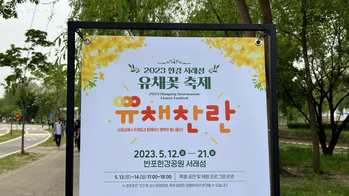 2023 한강 서래섬 유채꽃 축제는 5월 21일까지 계속된다. ⓒ이준엽