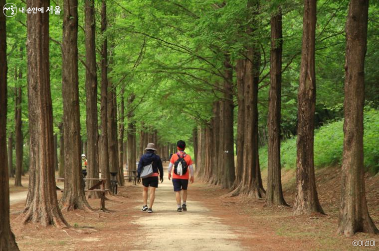 서울시는 숲길전문가와 함께하는 ‘코스가이드’를 운영하기로 하고, 참여자를 모집한다.