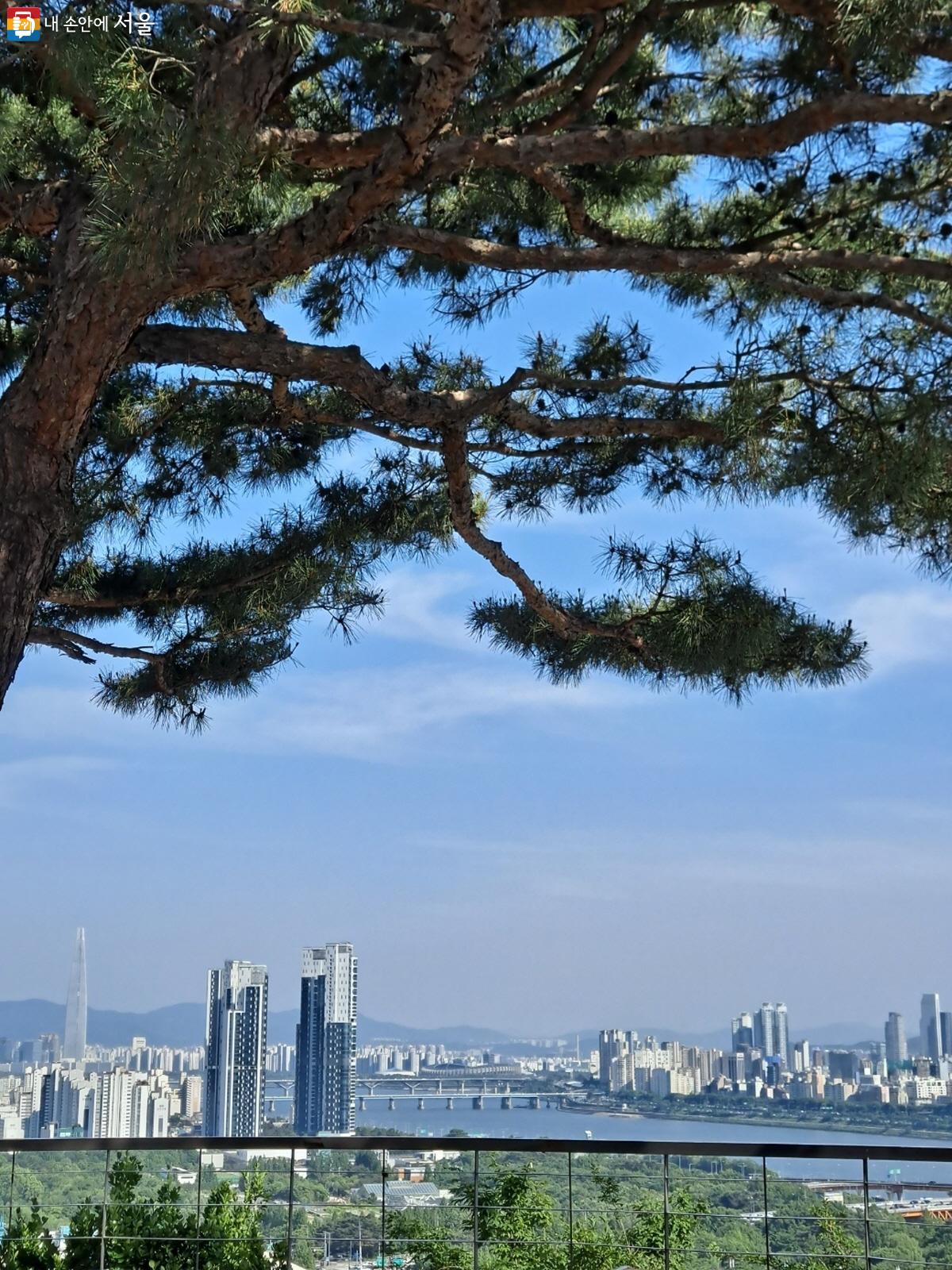 이곳에서는 롯데월드타워와 서울숲 근처의 건물까지 보인다. ©김정원