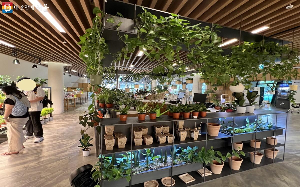 1층 식물판매장(기프트숍)에서는 식물을 직접 보고 구매도 할 수 있다. ⓒ박지영
