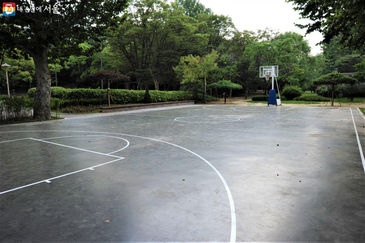 탄성이 있는 우레탄 재질로 바닥을 시공한 농구장 ©조수봉