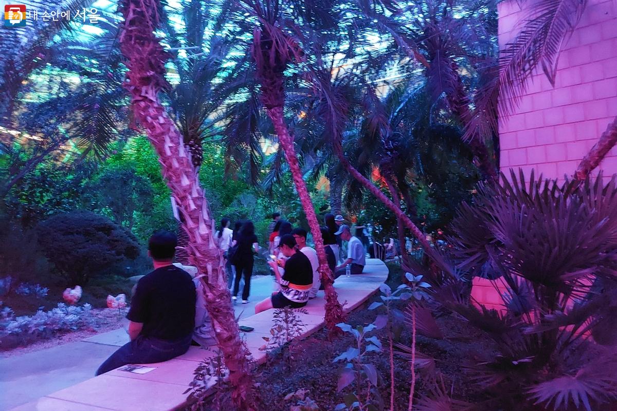 이국적인 모습의 식물원에서 산책도 하고 휴식도 취하며 낭만적인 온실의 밤을 즐기고 있다. ©정향선