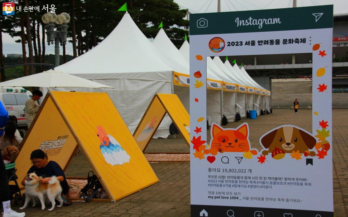 서울시에서 처음 개최된 반려동물 축제로, 반려인과 반려동물 500팀이 참여했다. ©엄윤주
