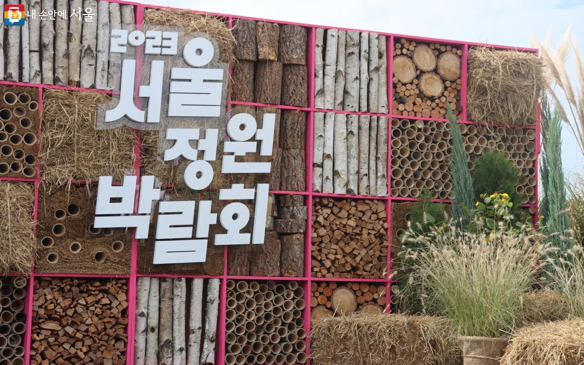 11월 15일까지, 하늘공원에서 서울정원박람회 만날 수 있다. ©조수연