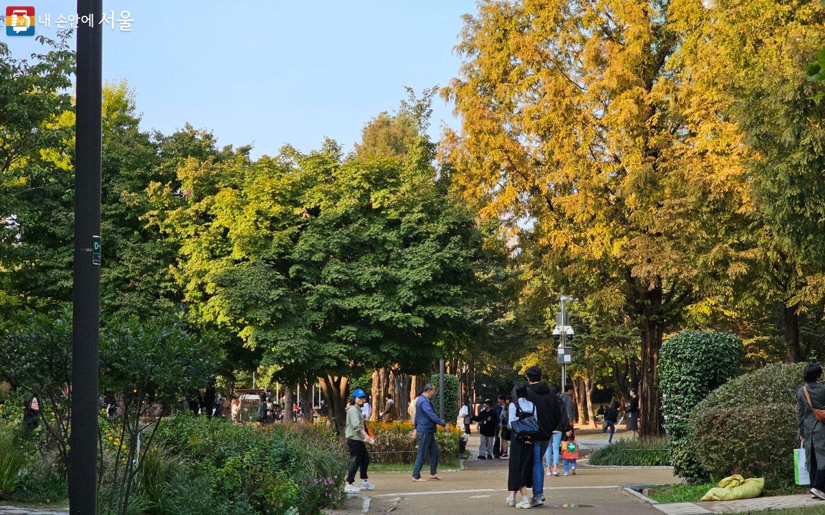 서울숲을 산책하고 있는 시민들 ⓒ홍혜수