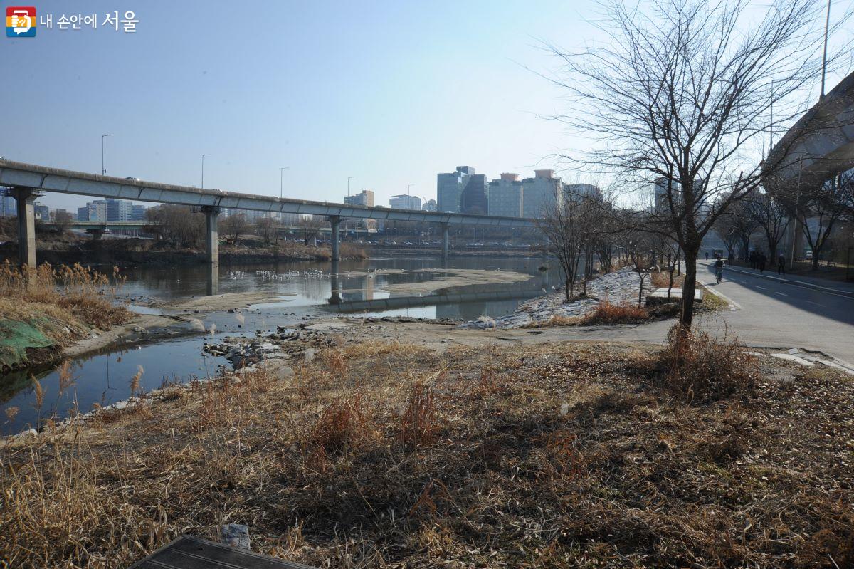 청계천과 중랑천 합류 지점을 지나는 청계천 자전거도로 ⓒ조수봉