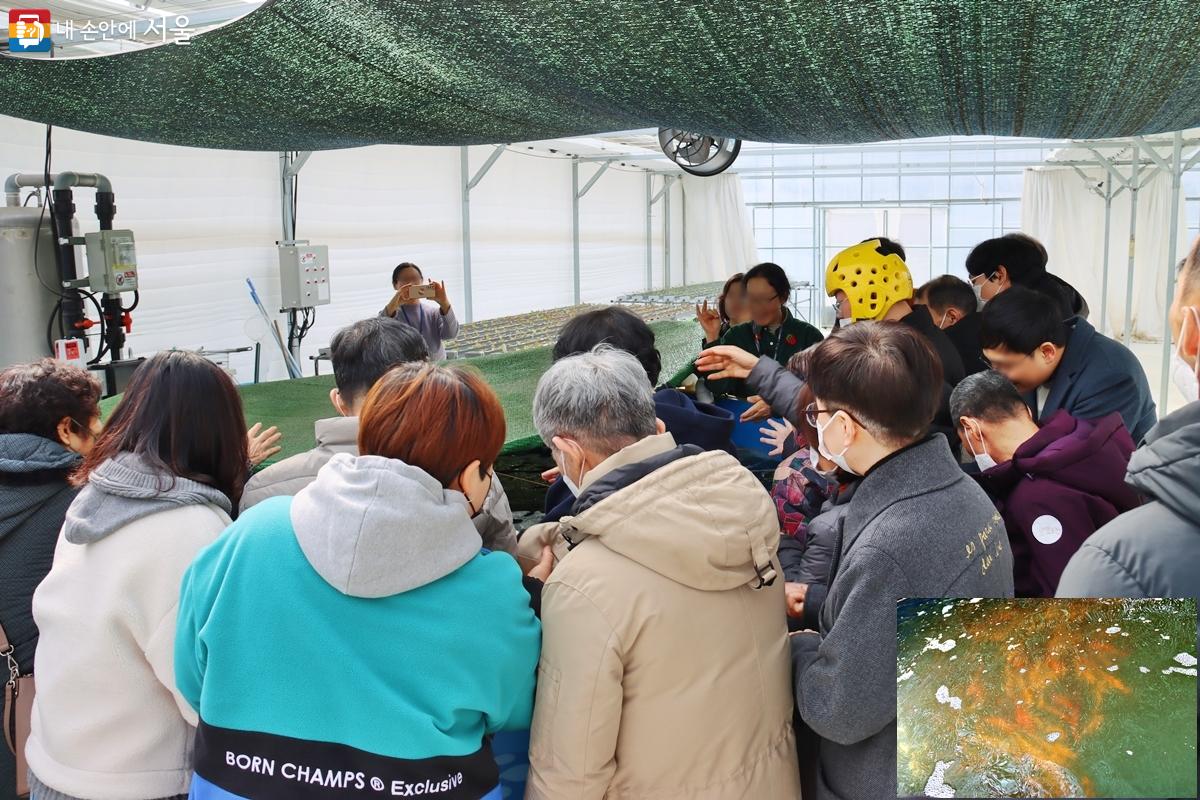 양어 수경재배 시설(아쿠아포닉스)의 비단잉어 먹이 주기를 하고 있는 체험자들 ⓒ이혜숙