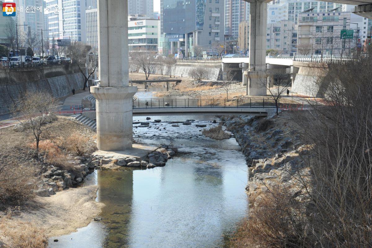 고산자교에서 본 청계천 ‘보행·자전거 전용교’ ⓒ조수봉