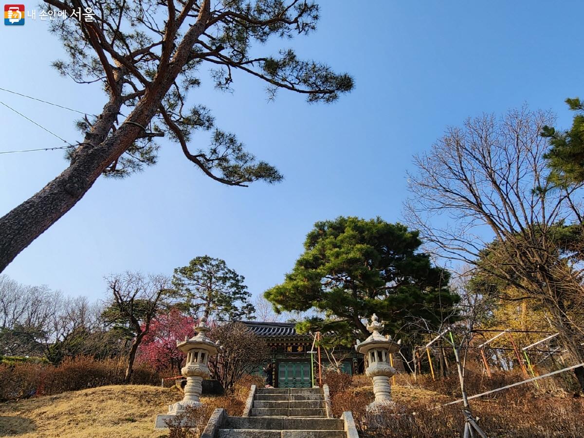 서울 도심 한복판 빌딩숲에 가려진 봉은사에도 봄이 찾아왔다.ⓒ윤혜숙