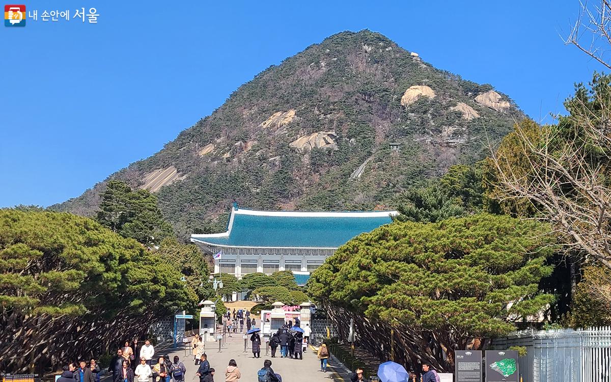 북악산에 안긴 청와대의 파란 기와지붕이 파란 하늘과 참 잘 어울린다. ⓒ문청야