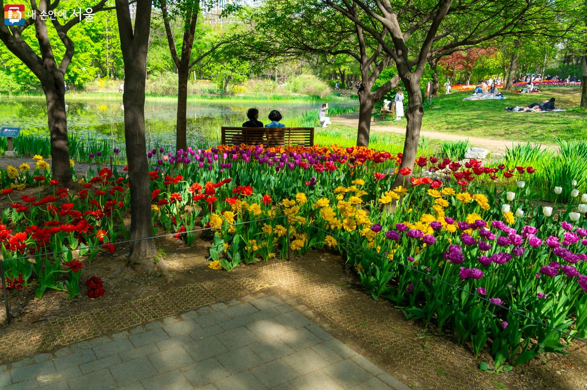 절정의 튤립 꽃밭은 연인, 친구, 가족들의 봄나들이로 장소로 적극 추천한다. ⓒ이병문 
