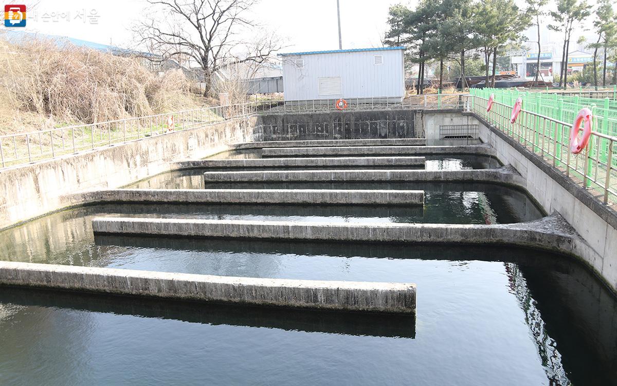 방류구(정화된 깨끗한 물을 하천으로 내보내는 곳) ©이혜숙