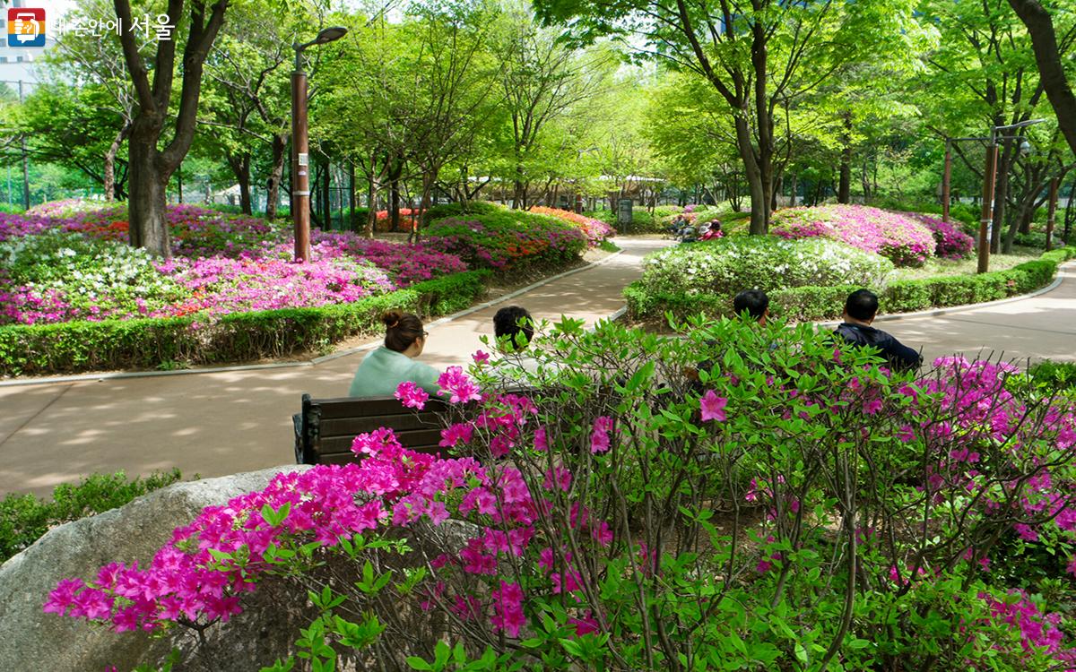 천호공원에는 중간중간 쉴 수 있는 벤치도 준비되어 있어 편하게 산책하기 좋다. ⓒ문청야