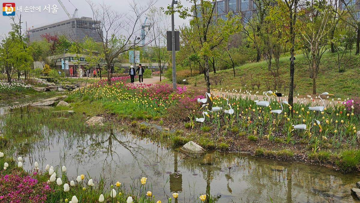 산책로와 물길을 따라 다양한 튤립과 수선화가 꽃망울을 터트리고 있다. ©최용수