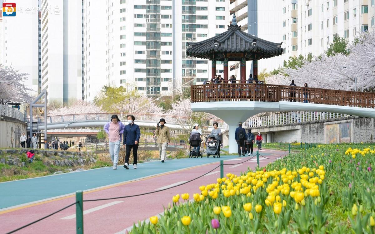 당현천을 산책하거나 한옥 정자에 앉아 화사한 봄꽃을 즐기는 행복한 시민들 ©이봉덕