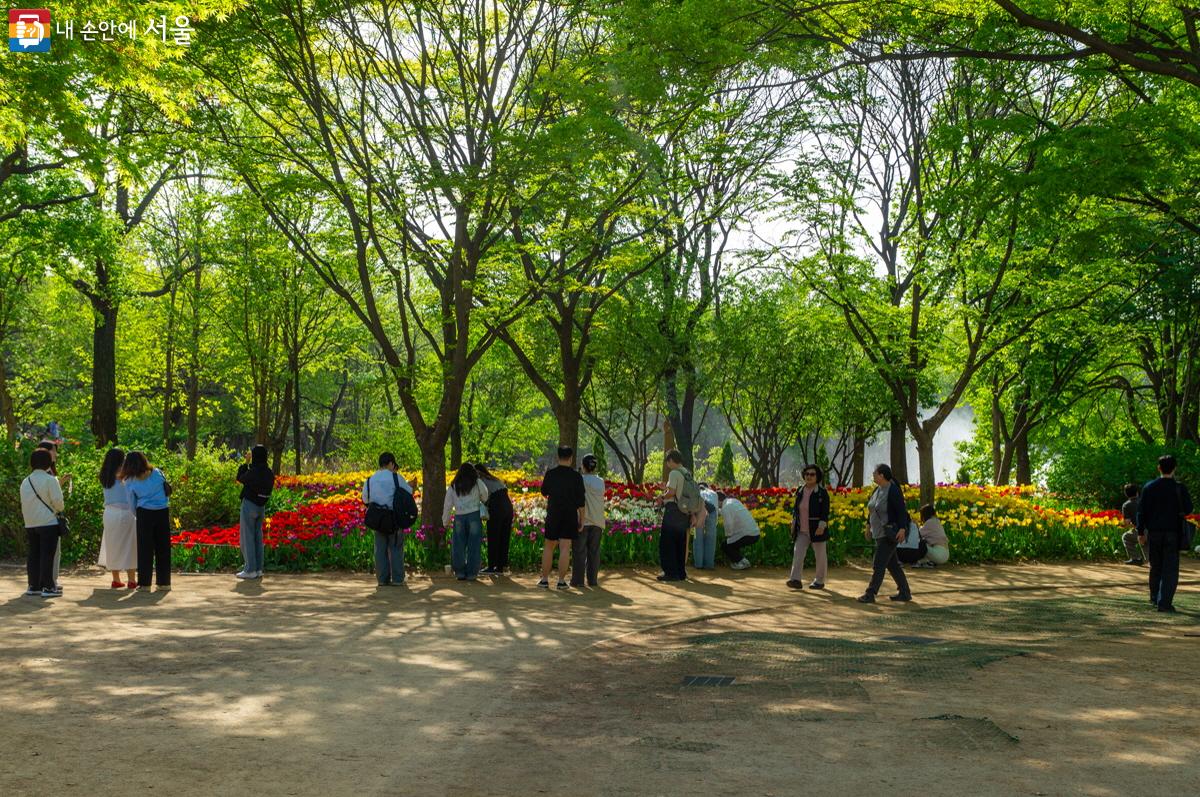 평일에도 북적이는 서울숲 튤립 꽃밭 ⓒ이병문