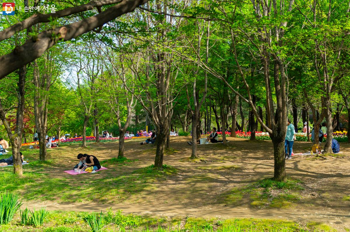 봄꽃 소풍으로 돗자리, 간식거리를 준비해서 방문한 시민들이 많다. ⓒ이병문 