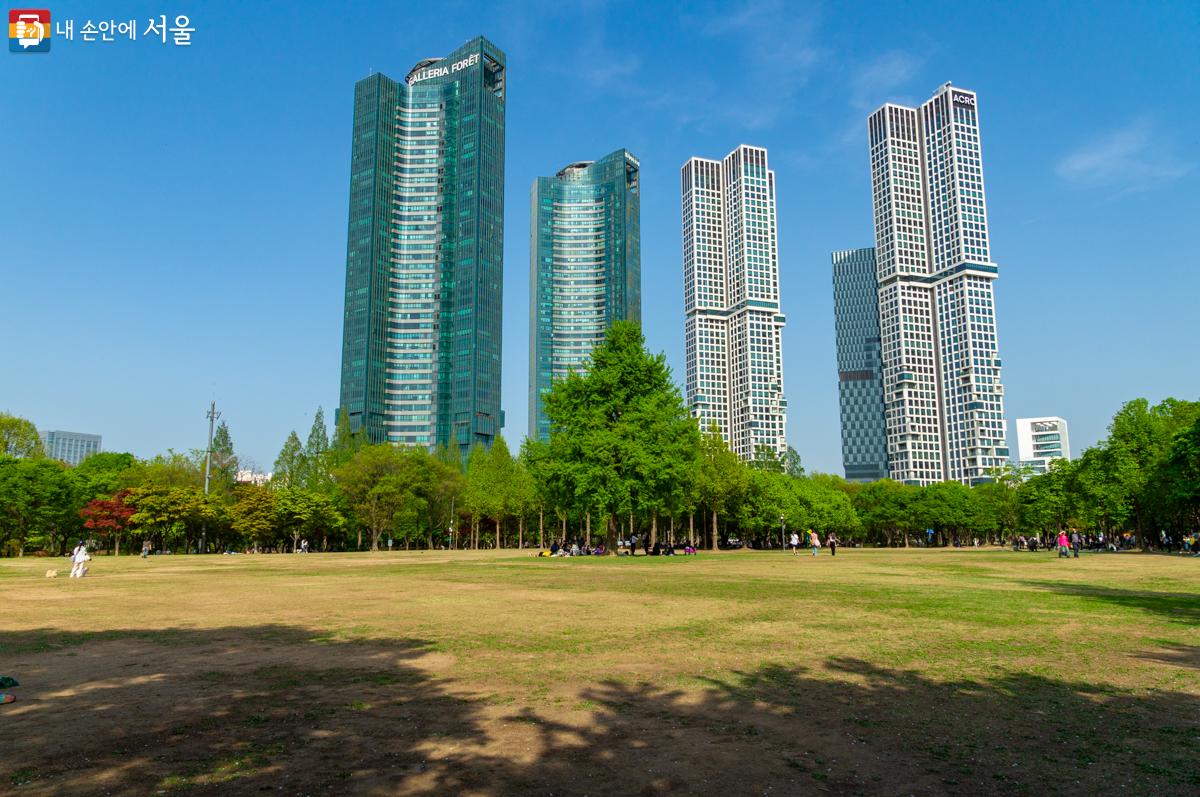 서울숲 가족마당은 드넓은 잔디밭이 조성되어 있어 피크닉을 즐기기에 좋다. ⓒ이병문 