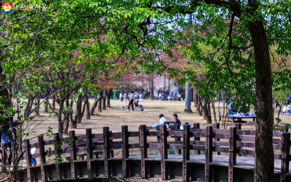 서울숲의 오작교에도 봄이 익어가고 있다. ⓒ유서경