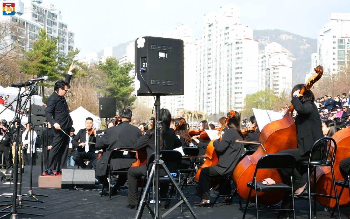 당현천에서 '2024년 찾아가는 오케스트라, 당현천 벚꽃음악회'가 열렸다. ©이봉덕