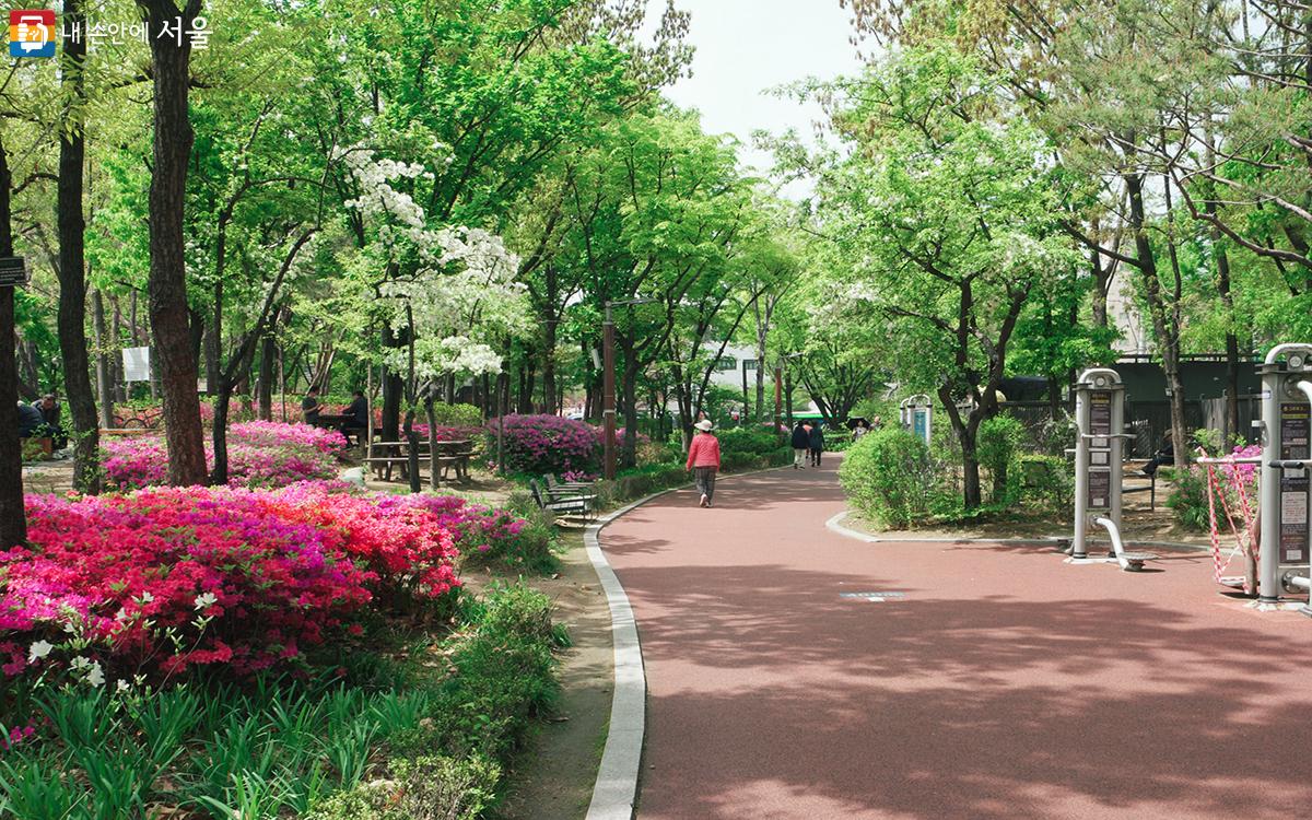 아름다운 꽃을 보며 마음 건강까지 챙기는 습관을 만들면 어떨까. ⓒ문청야