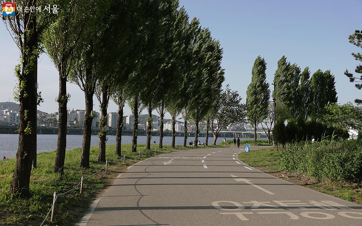 한강공원에는 아름다운 산책로가 마련되어 있다. ©김아름