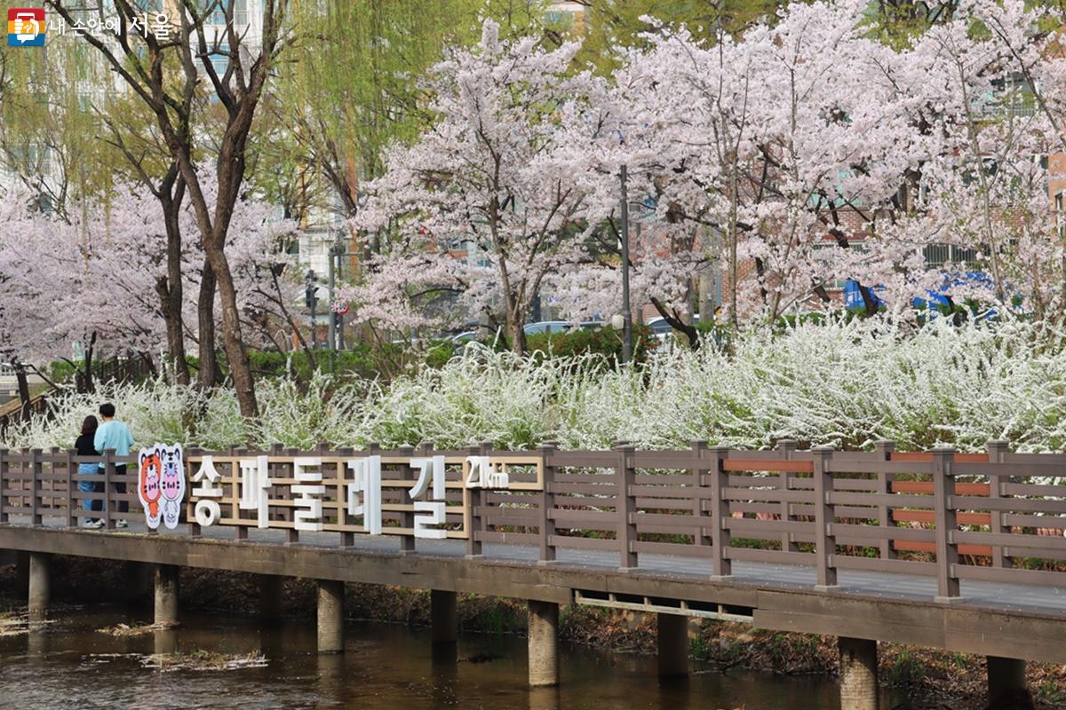 벚꽃 아래 조성된 산책로를 따라 아름다운 풍경을 배경으로 멋진 사진도 남길 수 있다. ⓒ정향선