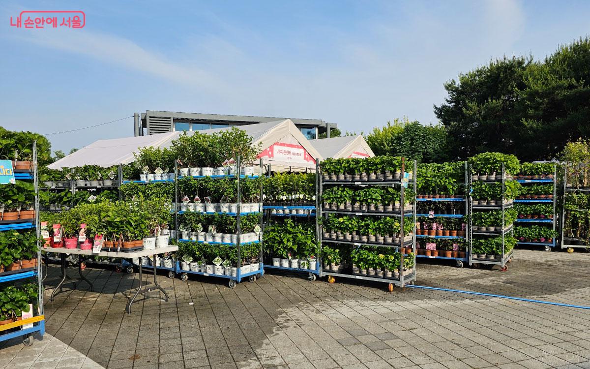 식물부터 정원용품에 이르는 다양한 상품을 볼 수 있는 가든센터 ©홍혜수  