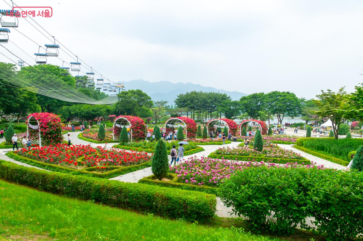2024 서울대공원 장미원 축제가 6월 2일까지 열린다. ⓒ이병문