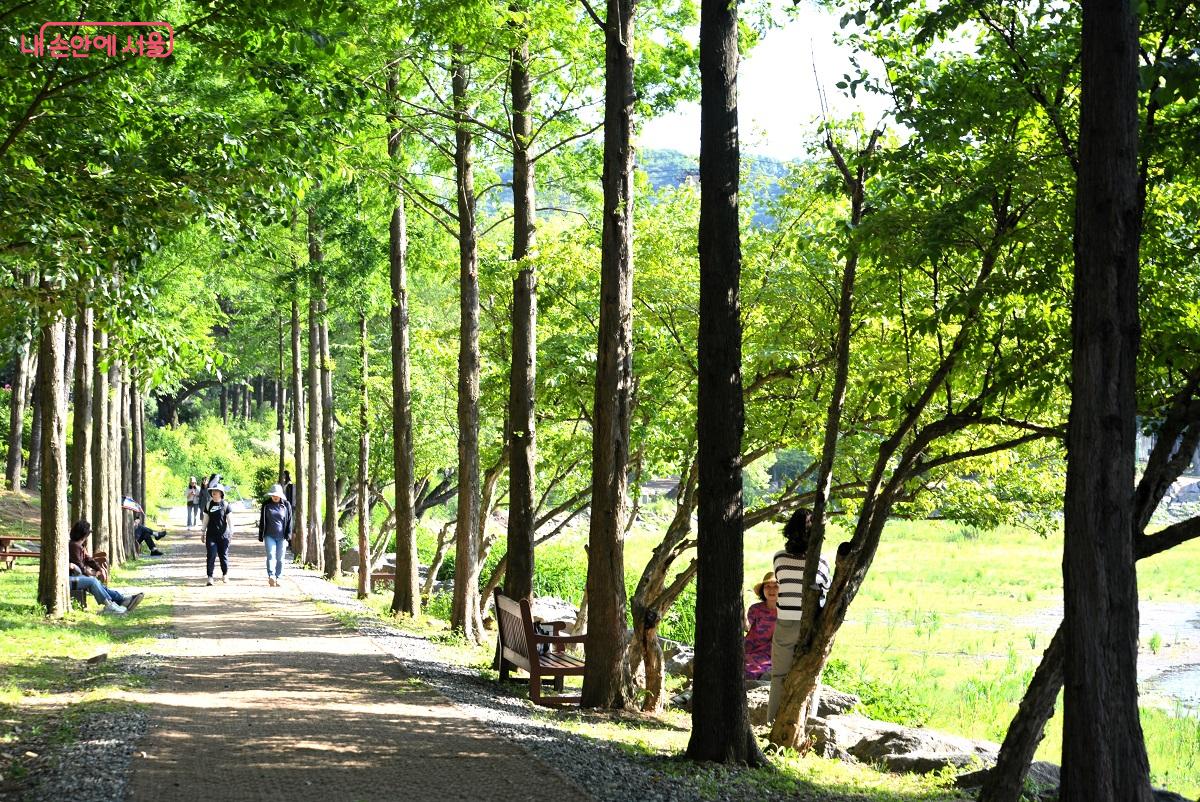 시민들이 테마가든 장미원 옆 호수 산책로를 따라 여유롭게 걸으며 휴식을 취하고 있다. ©이봉덕 