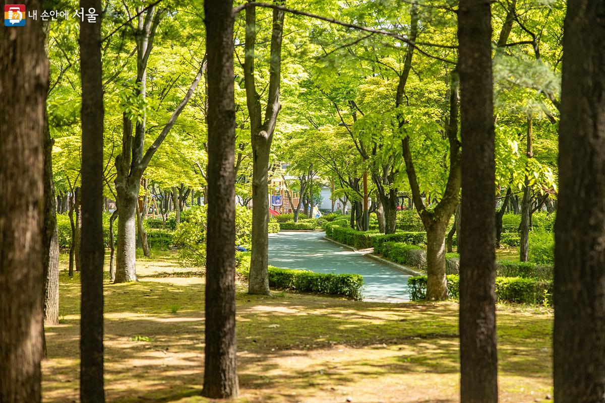 강남구의 대표 녹지로 손꼽히는 '대청공원'에 완연한 봄기운이 가득하다. ©임중빈