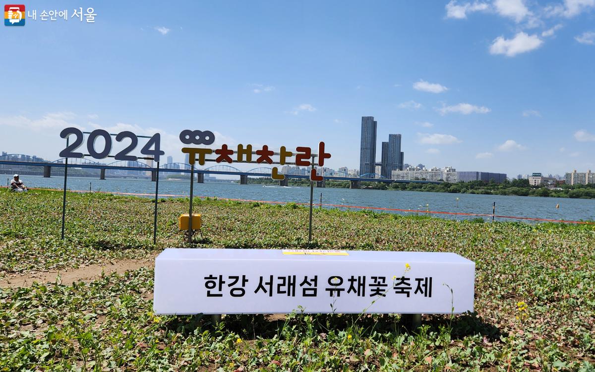 유채찬란 축제 공식 포토존 ‘2024 유채찬란’ ©김미선