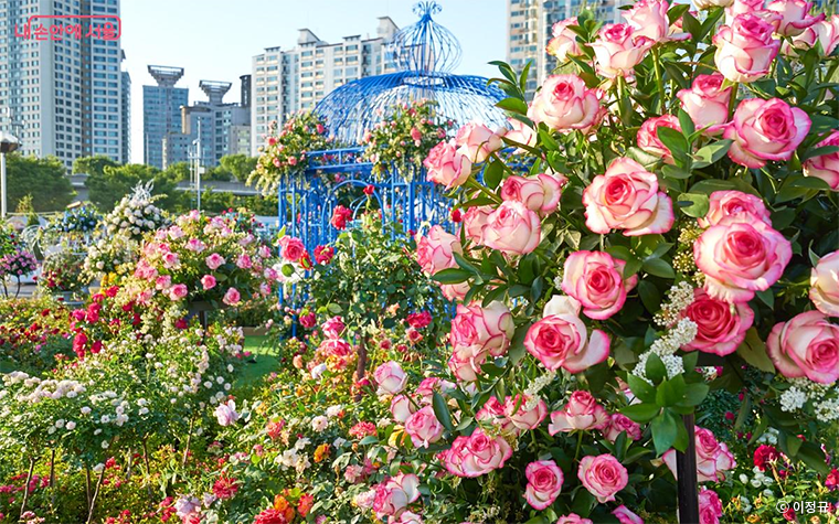 뚝섬한강공원에서 ‘서울국제정원박람회’ 상설전시가 10월 8일까지 열린다.  