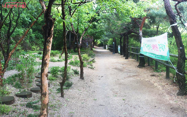 매봉산 응봉공원 유아숲체험원 소풍정원 전경 ⓒ조송연