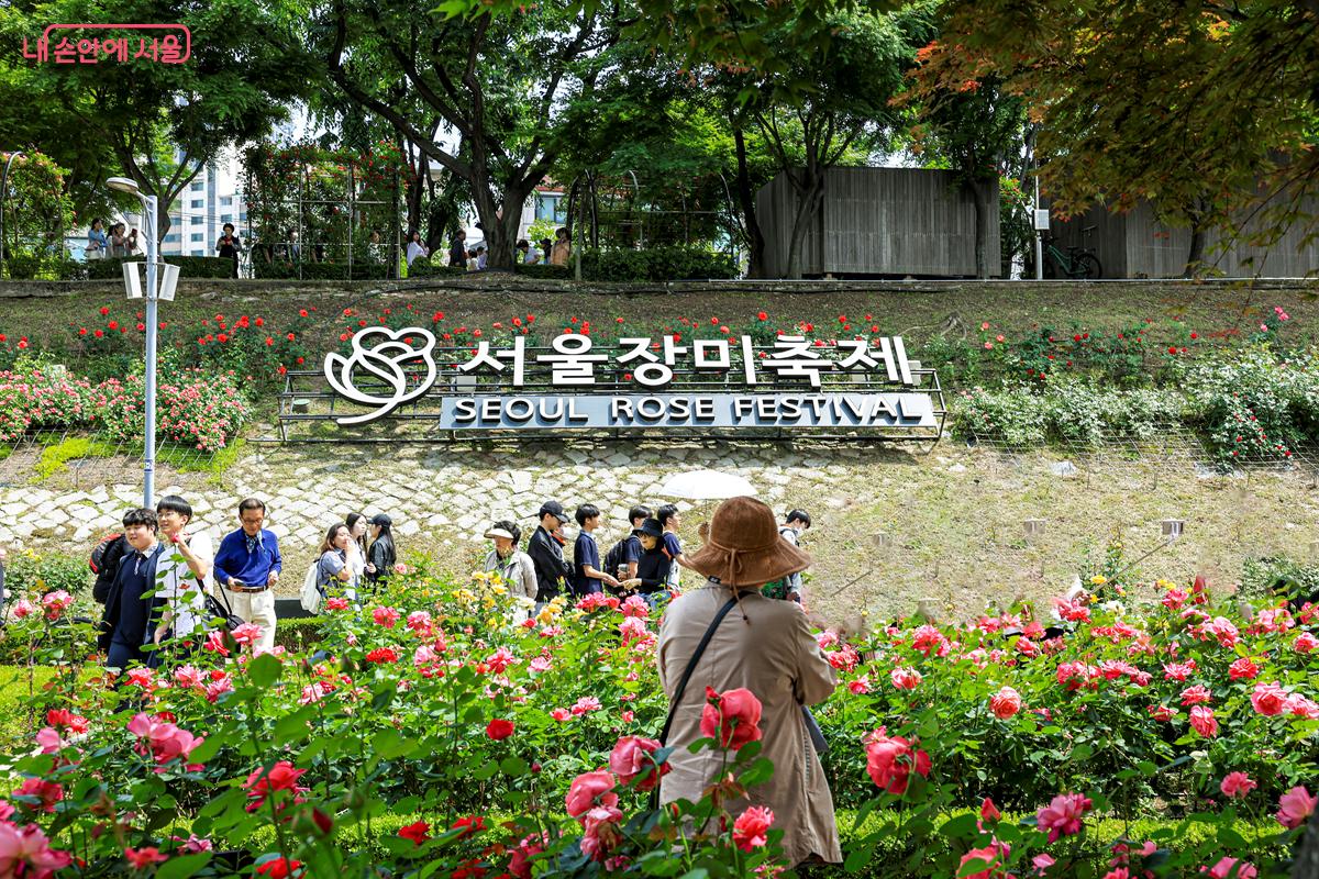  '2024 중랑 서울장미축제’가 열리고 있는 중랑장미공원 전경 ⓒ박우영