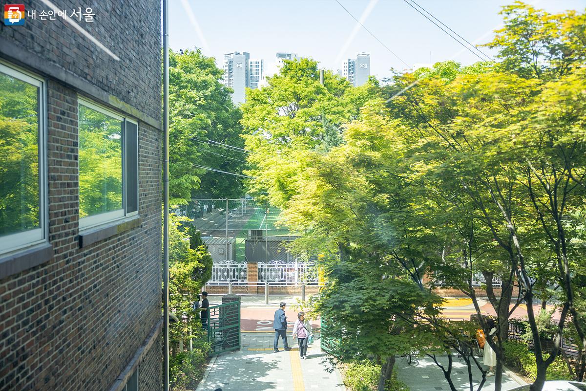 독서실 창밖으로 조용하고 고즈넉한 분위기의 일원동 풍경이 보인다. ©임중빈