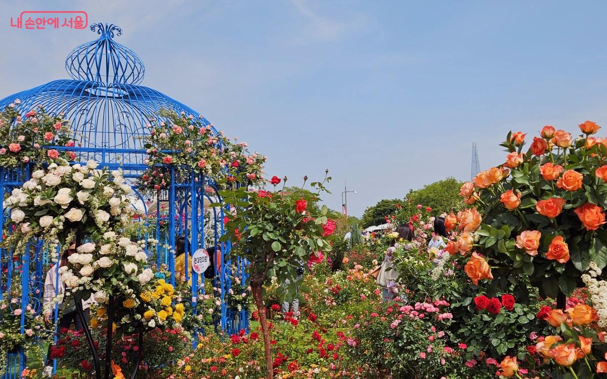 파란색 대형 새장 주위에 화려한 꽃들이 피어 있는 글로벌정원 ⓒ송지혜