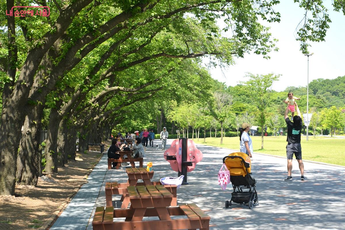 공원 동쪽 테마가든 장미원 가는 길. 시민들이 나무가 무성한 산책로에서 즐거운 한때 보내고 있다. ©이봉덕 