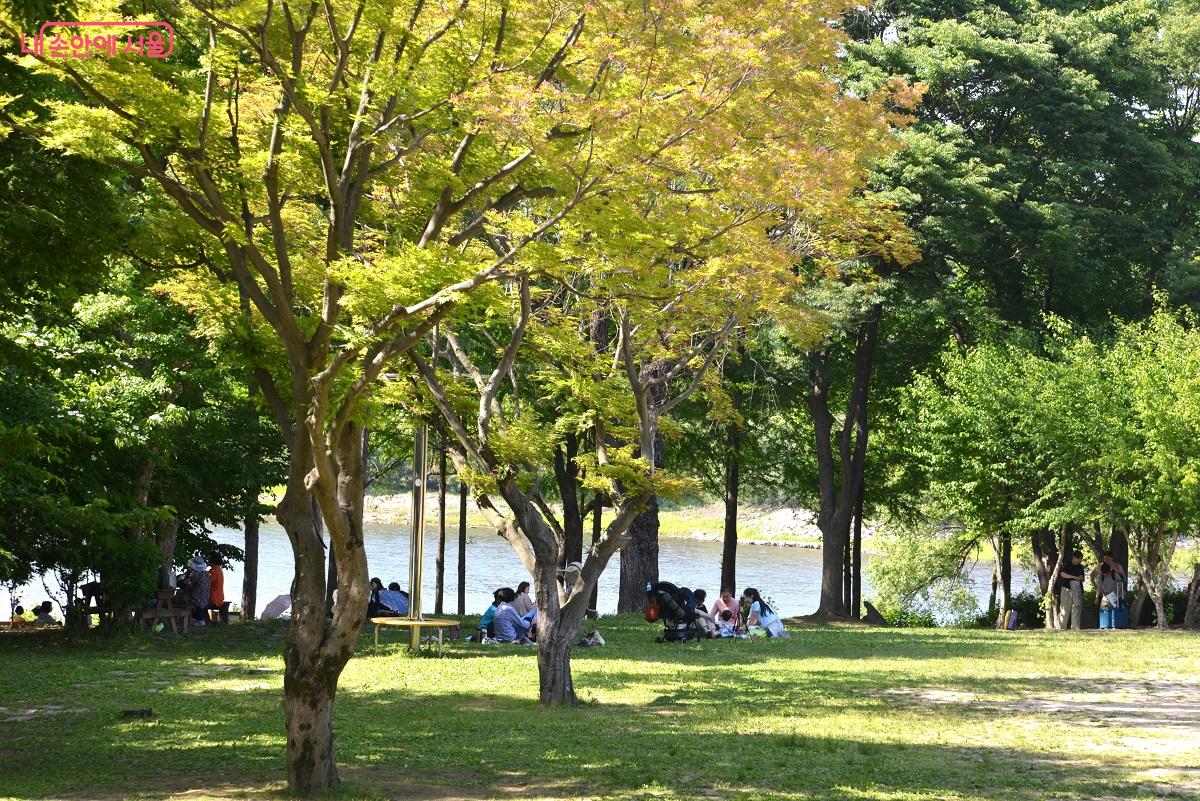 호수를 배경으로 커다란 나무 그늘 아래에서 즐거운 여가를 보내고 있는 시민들 ©이봉덕 