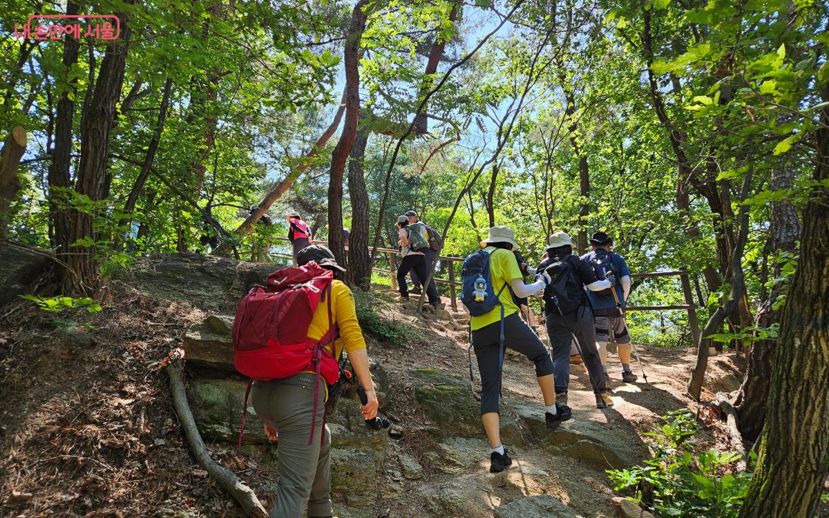 참가자들과 서울둘레길 2코스의 계속되는 계단을 올라갔다. ©김준범