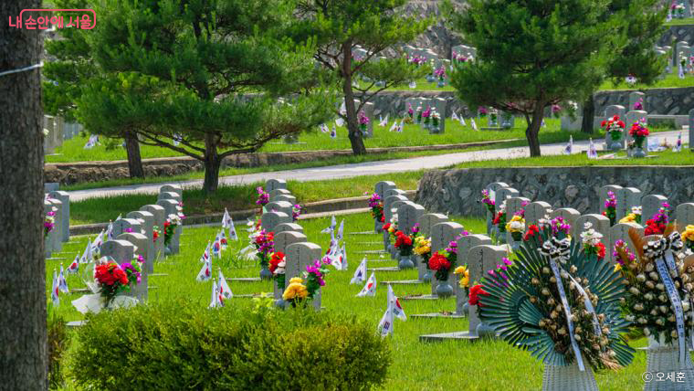 장병 묘역에는 6·25 전쟁과 베트남 전쟁 등에서 순국한 장병들이 안장되어 있다.
