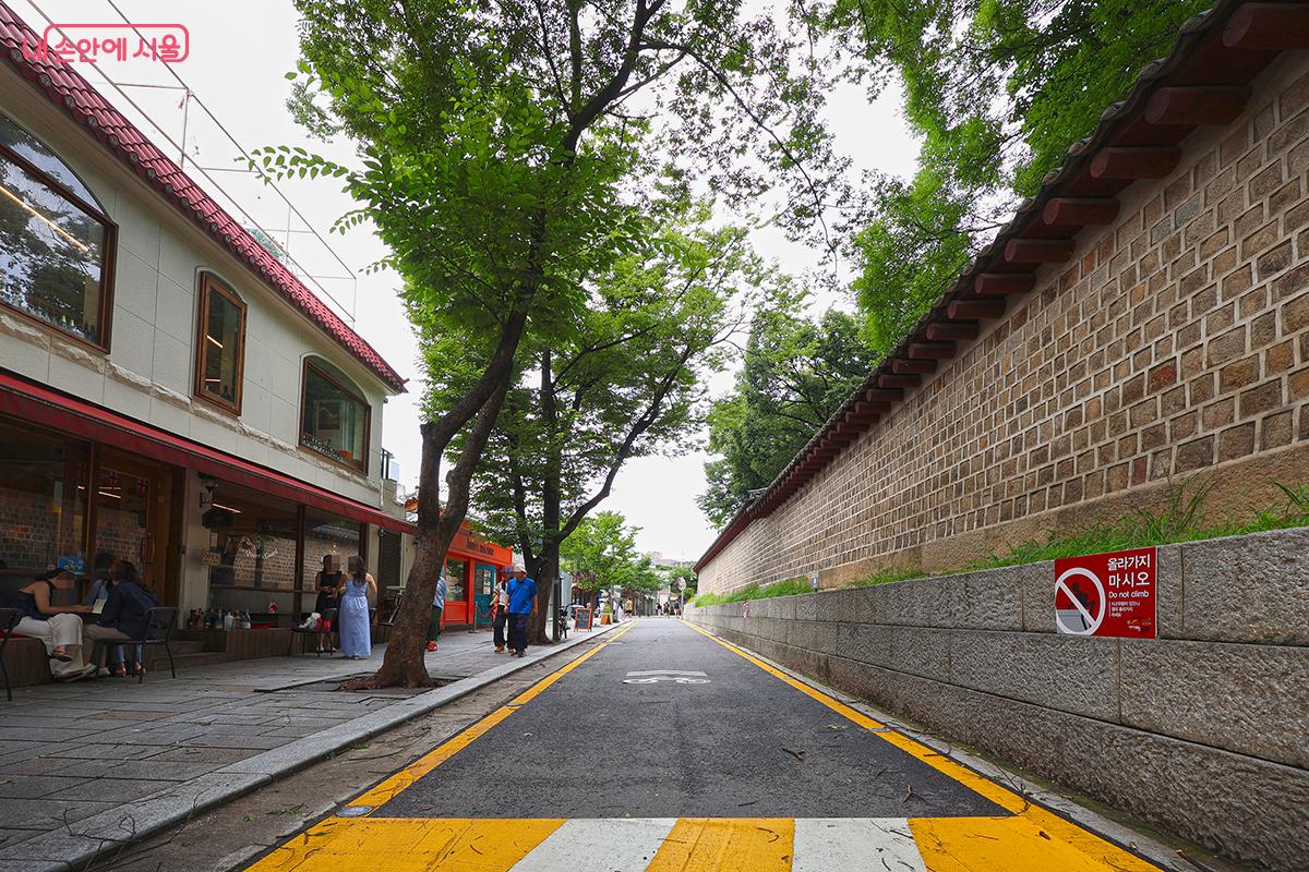 오래되고 높은 나무들이 서순라길에 시원한 그늘을 선사해 주고 있다. ©김주연