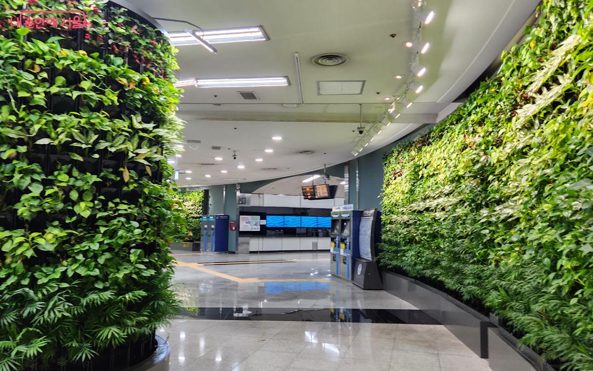 녹사평역에서 지하철을 이용하는 누구나 초록의 식물을 느낄 수 있다. ⓒ김미선